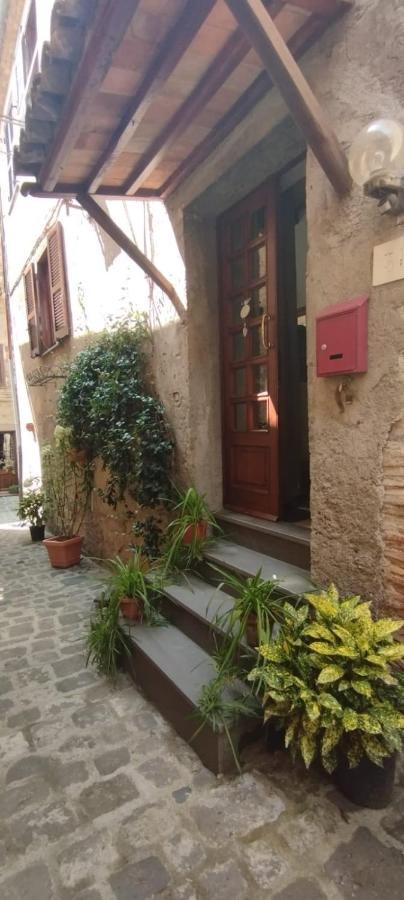 Willa Il Vicoletto Bolsena Zewnętrze zdjęcie